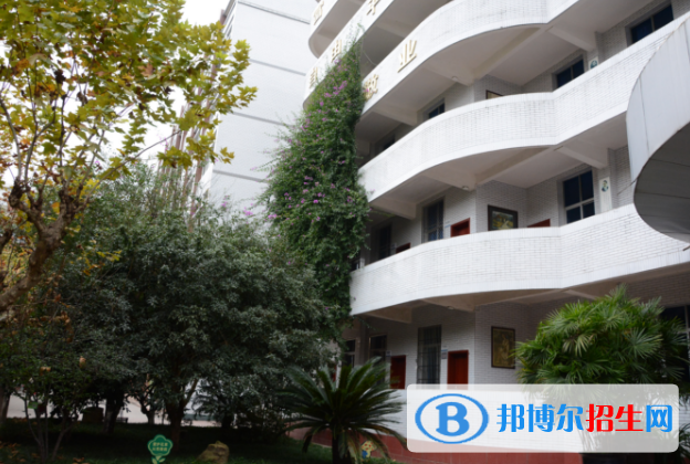 蒼溪實(shí)驗(yàn)中學(xué)職高部2018年報(bào)名條件、招生對(duì)象