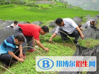 大理初中畢業(yè)可以讀中專學校嗎
