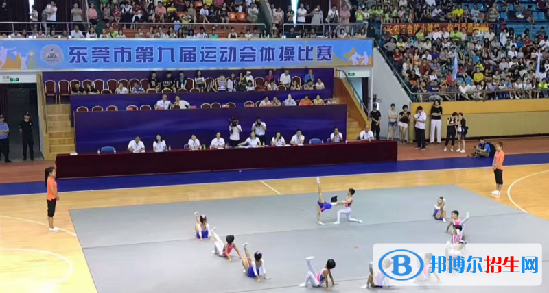 東莞體育運(yùn)動學(xué)校招辦聯(lián)系電話