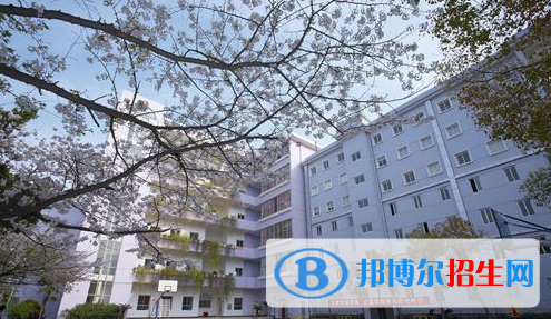 湖北藝術(shù)職業(yè)學(xué)院?jiǎn)握泻?jiǎn)章