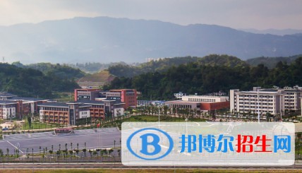 雅安職業(yè)技術(shù)學(xué)院五年制大專(zhuān)2019年招生代碼
