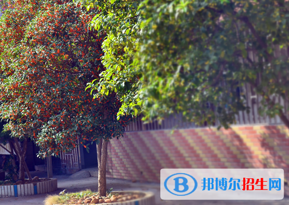 贛州育才職業(yè)中等專業(yè)學(xué)校2020年報(bào)名條件、招生要求、招生對(duì)象