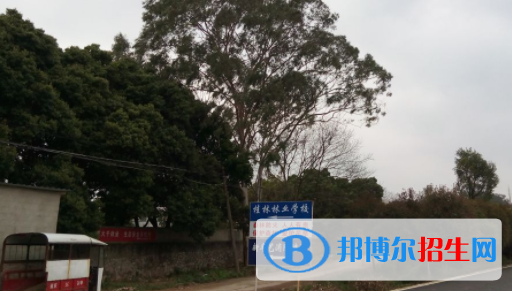 桂林林業(yè)學(xué)校2020年招生簡(jiǎn)章