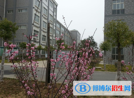 許昌工商管理學校2021年報名條件、招生要求、招生對象