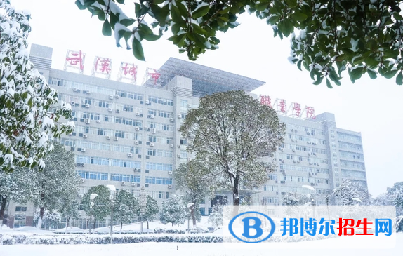 武漢城市職業(yè)學院7