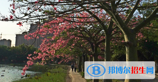 廣西經(jīng)濟(jì)職業(yè)學(xué)院2020年報(bào)名條件、招生要求、招生對象