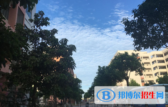 茂名職業(yè)技術學院五年制大專2020年報名條件、招生要求、招生對象