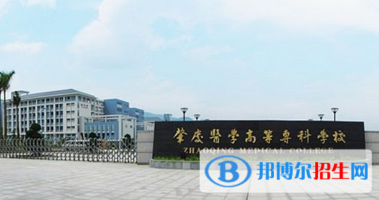 肇慶醫(yī)學(xué)高等?？茖W(xué)校2020年招生簡章