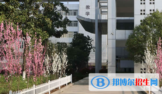 皖西衛(wèi)生職業(yè)學院2021年招生代碼
