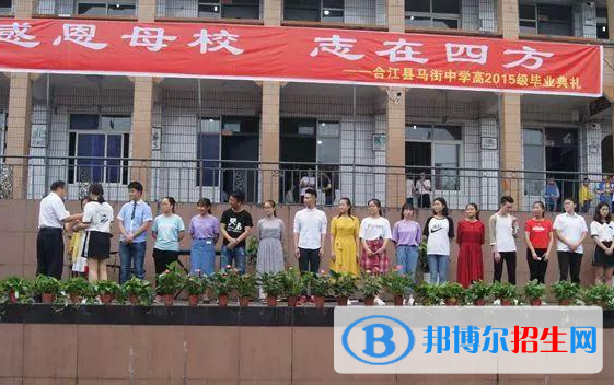 合江縣馬街中學網站網址