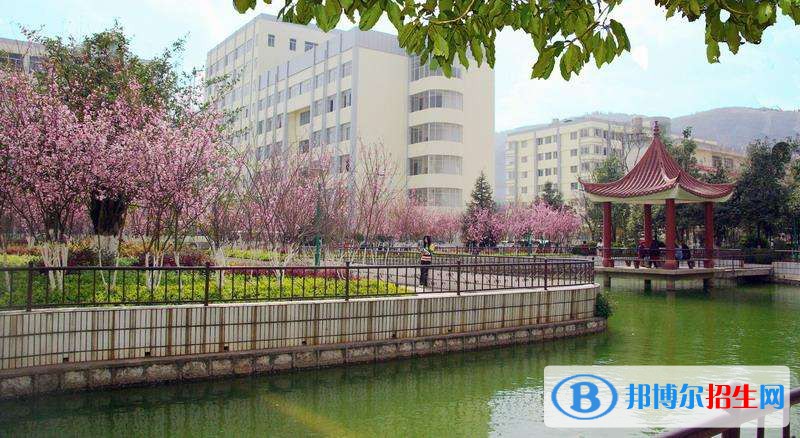 云南農(nóng)業(yè)職業(yè)技術(shù)學院五年制大專怎么樣，好不好 