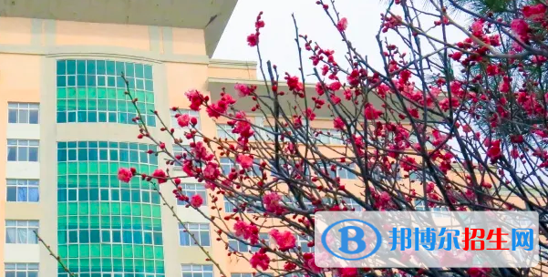 貴州2021年讀中專多少錢(qián)