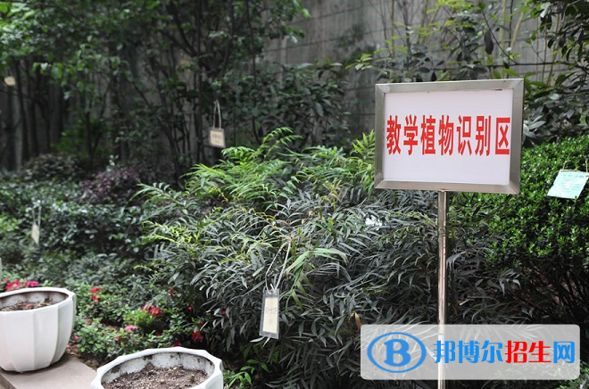 重慶園林技工學(xué)校怎么樣、好不好