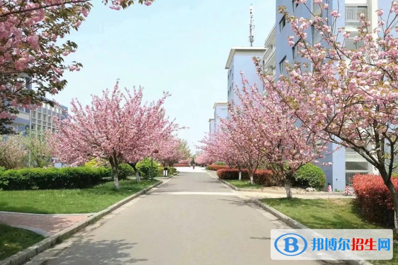 南京交通技師學(xué)院2022年報(bào)名條件、招生要求、招生對(duì)象