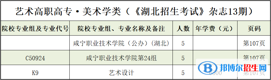 咸寧職業(yè)技術(shù)學(xué)院藝術(shù)類專業(yè)有哪些？