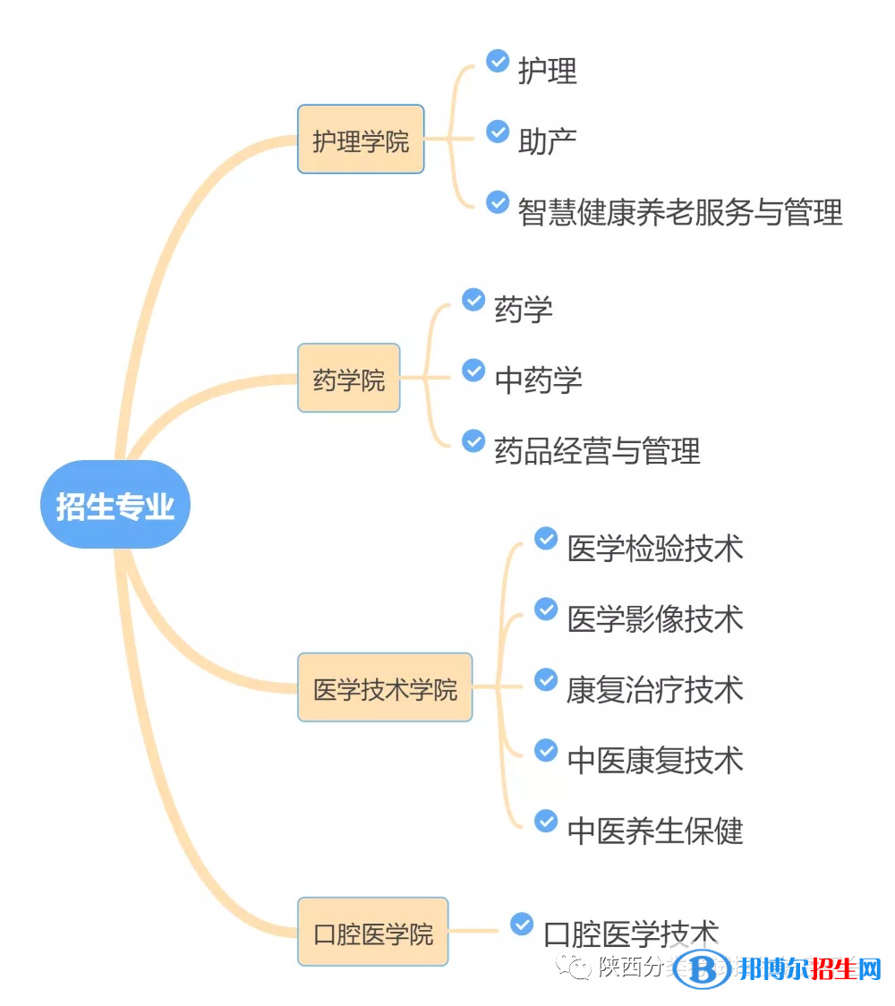 西安醫(yī)學高等?？茖W校2022分類考試招生專業(yè)有哪些？