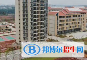 廣西2023年現(xiàn)在計算機學(xué)校學(xué)什么專業(yè)好