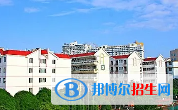 廣西2023年計(jì)算機(jī)學(xué)校有哪些專(zhuān)業(yè)最好