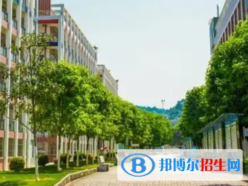 2024百色公辦職業(yè)學校有哪些  百色公辦職業(yè)學校名單一覽表