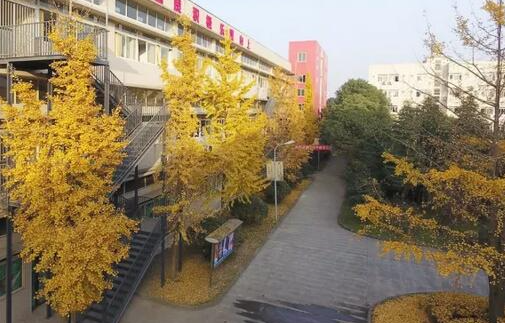 2023成都國(guó)演藝術(shù)學(xué)校開設(shè)的專業(yè)一覽表