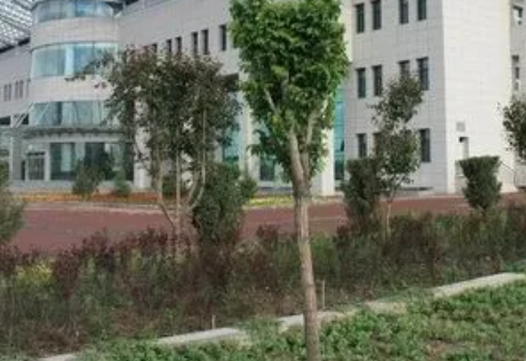 2023石河子公辦衛(wèi)生學校有哪些 石河子公辦衛(wèi)生學校名單一覽表