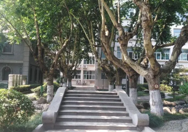 南京師范大學(xué)附屬中學(xué)招生簡(jiǎn)章2023年