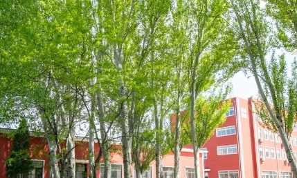 2023沈陽市電子技術學校招生計劃 招生人數(shù)是多少(附要求、條件、對象)