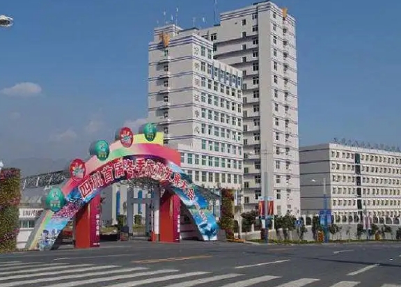 攀枝花衛(wèi)生學校2023年招生錄取分數(shù)線（2024參考）