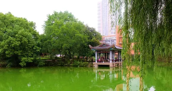 【全民禁毒宣傳月】泰州職業(yè)技術(shù)學(xué)院中專部黨委第二巡察組組織召開(kāi)巡察藝術(shù)學(xué)院黨總支 情況反饋大會(huì)開(kāi)展禁毒宣傳活動(dòng)